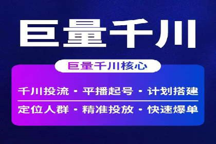 百度竞价广告成功案例：如何实现ROI最大化